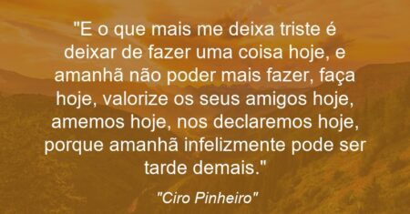 “E o que mais me deixa triste é deixar de fazer uma coisa hoje, e amanhã não poder mais fazer, faça hoje, valorize os seus amigos hoje, amemos hoje, nos declaremos hoje, porque amanhã infelizmente pode ser tarde demais.”