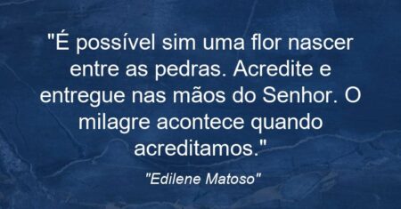 “É possível sim uma flor nascer entre as pedras. Acredite e entregue nas mãos do Senhor. O milagre acontece quando acreditamos.”