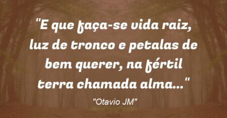 “E que faça-se vida raiz, luz de tronco e petalas de bem querer, na fértil terra chamada alma…”