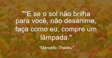 “”E se o sol não brilha para você, não desanime, faça como eu, compre um lâmpada.”