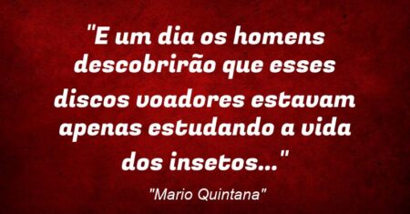 “E um dia os homens descobrirão que esses discos voadores estavam apenas estudando a vida dos insetos…”