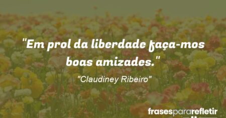 “Em prol da liberdade faça-mos boas amizades.”