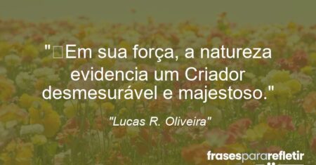“Em sua força, a natureza evidencia um Criador desmesurável e majestoso.”