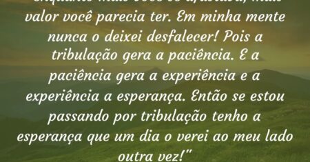 “Enquanto mais você se afastava, mais valor você parecia ter. Em minha mente nunca o deixei desfalecer! Pois a tribulação gera a paciência. E a paciência gera a experiência e a experiência a esperança. Então se estou passando por tribulação tenho a esperança que um dia o verei ao meu lado outra vez!”