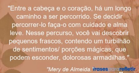 “Entre a cabeça e o coração, há um longo caminho a ser percorrido. Se decidir percorrer-lo faça-o com cuidado e alma leve. Nesse percurso, você vai descobrir pequenos frascos, contendo um turbilhão de sentimentos/ porções mágicas, que podem esconder, dolorosas armadilhas.”