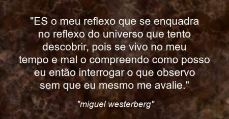 “ES o meu reflexo que se enquadra no reflexo do universo que tento descobrir, pois se vivo no meu tempo e mal o compreendo como posso eu então interrogar o que observo sem que eu mesmo me avalie.”