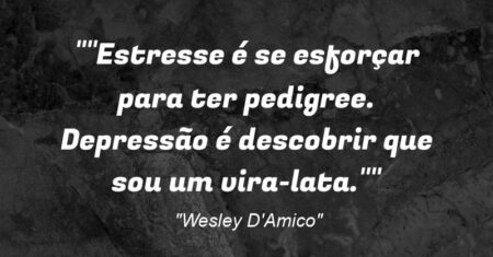 “”Estresse é se esforçar para ter pedigree. Depressão é descobrir que sou um vira-lata.””