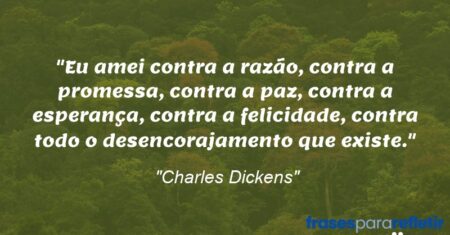 “Eu amei contra a razão, contra a promessa, contra a paz, contra a esperança, contra a felicidade, contra todo o desencorajamento que existe.”