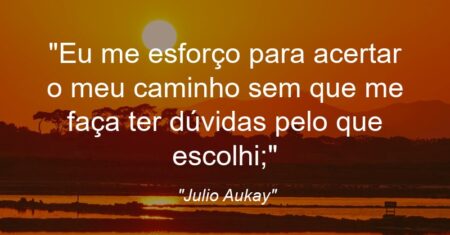 “Eu me esforço para acertar o meu caminho sem que me faça ter dúvidas pelo que escolhi;”