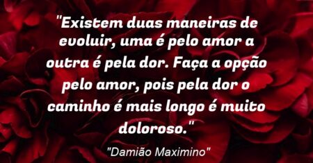 “Existem duas maneiras de evoluir, uma é pelo amor a outra é pela dor. Faça a opção pelo amor, pois pela dor o caminho é mais longo é muito doloroso.”