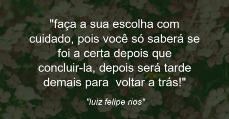 “faça a sua escolha com cuidado, pois você só saberá se foi a certa depois que concluir-la, depois será tarde demais para voltar a trás!”