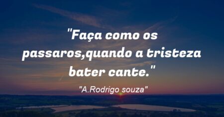 “Faça como os passaros,quando a tristeza bater cante.”