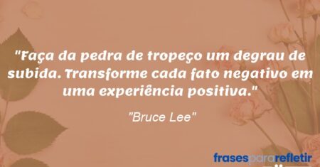 “Faça da pedra de tropeço um degrau de subida. Transforme cada fato negativo em uma experiência positiva.”