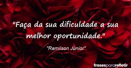 “Faça da sua dificuldade a sua melhor oportunidade.”