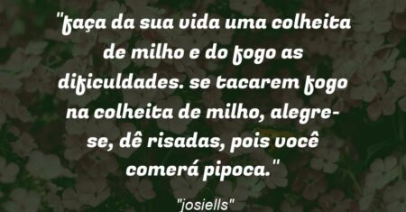 “faça da sua vida uma colheita de milho e do fogo as dificuldades. se tacarem fogo na colheita de milho, alegre-se, dê risadas, pois você comerá pipoca.”