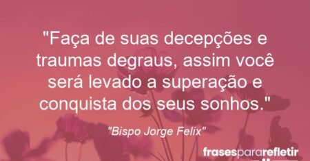 “Faça de suas decepções e traumas degraus, assim você será levado a superação e conquista dos seus sonhos.”