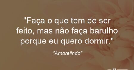 “Faça o que tem de ser feito, mas não faça barulho porque eu quero dormir.”