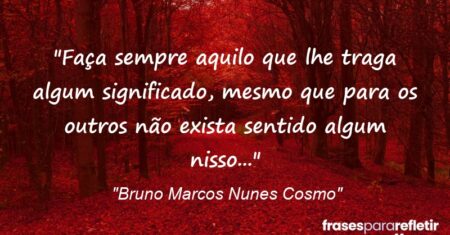 “Faça sempre aquilo que lhe traga algum significado, mesmo que para os outros não exista sentido algum nisso…”