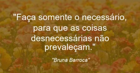 “Faça somente o necessário, para que as coisas desnecessárias não prevaleçam.”