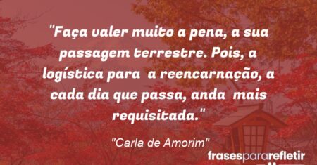 “Faça valer muito a pena, a sua passagem terrestre. Pois, a logística para a reencarnação, a cada dia que passa, anda mais requisitada.”