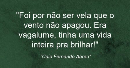 “Foi por não ser vela que o vento não apagou. Era vagalume, tinha uma vida inteira pra brilhar!”
