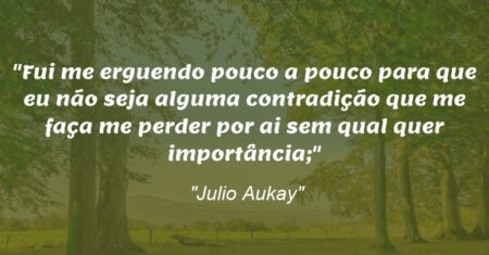 “Fui me erguendo pouco a pouco para que eu não seja alguma contradição que me faça me perder por ai sem qual quer importância;”