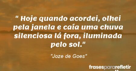 “Hoje quando acordei, olhei pela janela e caía uma chuva silenciosa lá fora, iluminada pelo sol.”