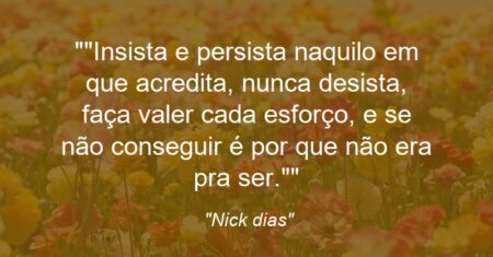 “”Insista e persista naquilo em que acredita, nunca desista, faça valer cada esforço, e se não conseguir é por que não era pra ser.””