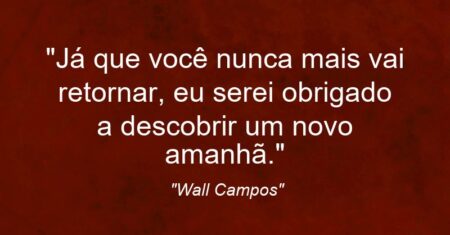 “Já que você nunca mais vai retornar, eu serei obrigado a descobrir um novo amanhã.”