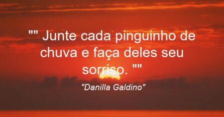 ” Junte cada pinguinho de chuva e faça deles seu sorriso. “
