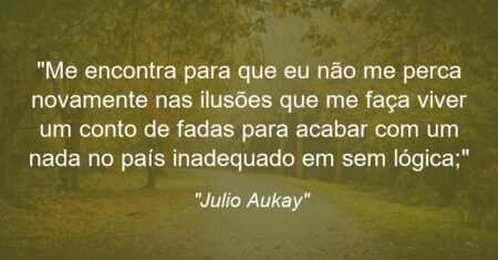 “Me encontra para que eu não me perca novamente nas ilusões que me faça viver um conto de fadas para acabar com um nada no país inadequado em sem lógica;”