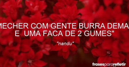 “MECHER COM GENTE BURRA DEMAIS E UMA FACA DE 2 GUMES”