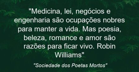 “Medicina, lei, negócios e engenharia são ocupações nobres para manter a vida. Mas poesia, beleza, romance e amor são razões para ficar vivo. (Robin Williams)”