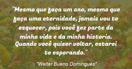 “Mesmo que faça um ano, mesmo que faça uma eternidade, jamais vou te esquecer, pois você fez parte da minha vida e da minha historia. Quando você quiser voltar, estarei te esperando.”