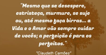 “Mesmo que se desespere, estristeça, murmure, se suje ou, até mesmo faça birras… a Vida e o Amor vão sempre cuidar de você(s); a perfeição é para os perfeitos.”