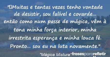 “Muitas e tantas vezes tenho vontade de desistir, sou falível e covarde… então como num passe de mágica, vêm à tona minha força interior, minha irrestrita esperança e minha louca fé. Pronto… sou eu na luta novamente.”