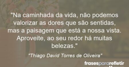 “Na caminhada da vida, não podemos valorizar as dores que são sentidas, mas a paisagem que está a nossa vista. Aproveite, ao seu redor há muitas belezas.”