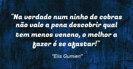 “Na verdade num ninho de cobras não vale a pena descobrir qual tem menos veneno, o melhor a fazer é se afastar!”