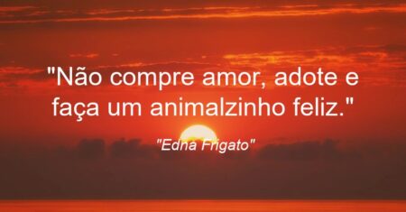 “Não compre amor, adote e faça um animalzinho feliz.”
