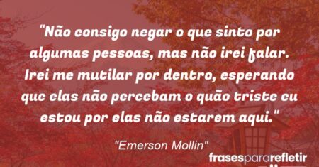 “Não consigo negar o que sinto por algumas pessoas, mas não irei falar. Irei me mutilar por dentro, esperando que elas não percebam o quão triste eu estou por elas não estarem aqui.”