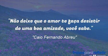 “Não deixe que o amor te faça desistir de uma boa amizade, você sabe.”