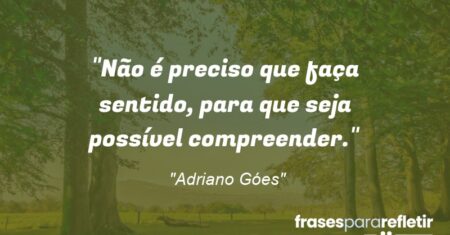 “Não é preciso que faça sentido, para que seja possível compreender.”