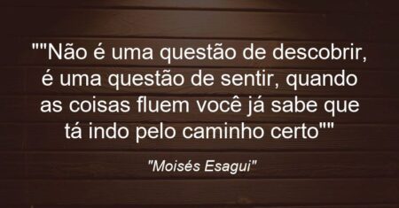“”Não é uma questão de descobrir, é uma questão de sentir, quando as coisas fluem você já sabe que tá indo pelo caminho certo””