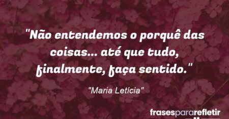 “Não entendemos o porquê das coisas… até que tudo, finalmente, faça sentido.”