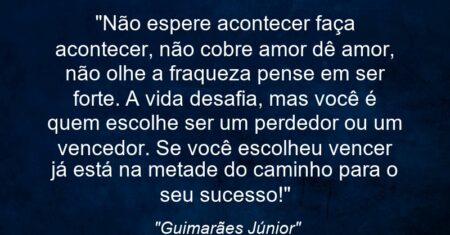 “Não espere acontecer faça acontecer, não cobre amor dê amor, não olhe a fraqueza pense em ser forte. A vida desafia, mas você é quem escolhe ser um perdedor ou um vencedor. Se você escolheu vencer já está na metade do caminho para o seu sucesso!”