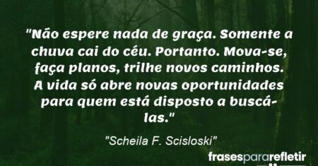 “Não espere nada de graça. Somente a chuva cai do céu. Portanto. Mova-se, faça planos, trilhe novos caminhos. A vida só abre novas oportunidades para quem está disposto a buscá-las.”