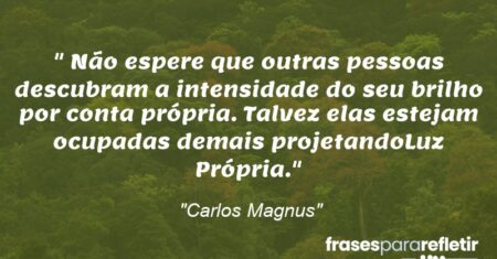 “Não espere que outras pessoas descubram a intensidade do seu brilho por conta própria. Talvez elas estejam ocupadas demais projetandoLuz Própria.”