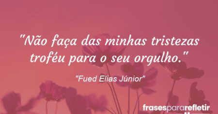 “Não faça das minhas tristezas troféu para o seu orgulho.”