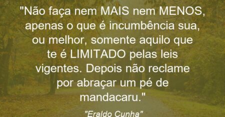 “Não faça nem MAIS nem MENOS, apenas o que é incumbência sua, ou melhor, somente aquilo que te é LIMITADO pelas leis vigentes. Depois não reclame por abraçar um pé de mandacaru.”