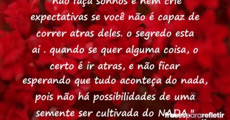 “não faça sonhos e nem crie expectativas se você não é capaz de correr atras deles. o segredo esta ai . quando se quer alguma coisa, o certo é ir atras, e não ficar esperando que tudo aconteça do nada, pois não há possibilidades de uma semente ser cultivada do NADA.”